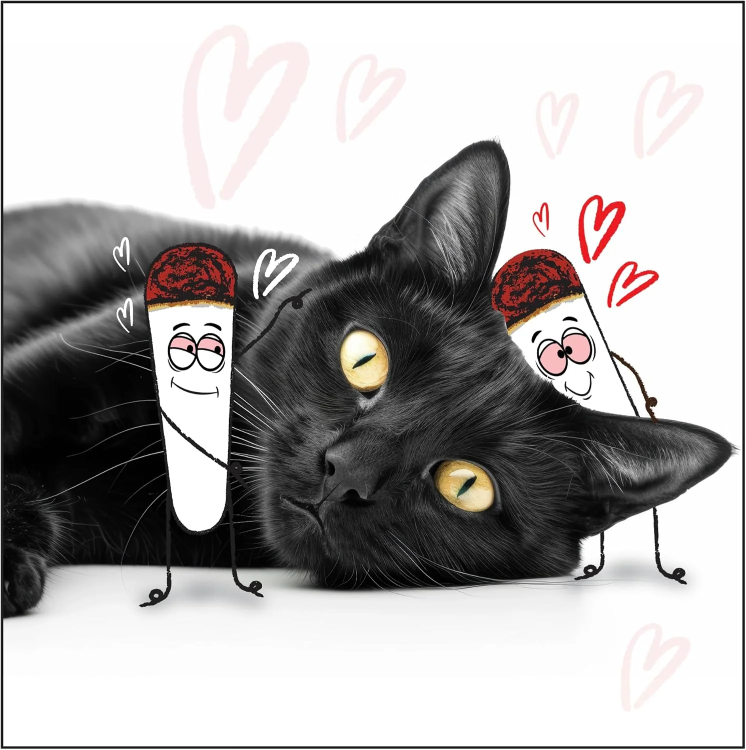 Kittie Doob Catnip - Image 5