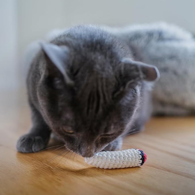 Kittie Doobs Catnip Toys - Image 4