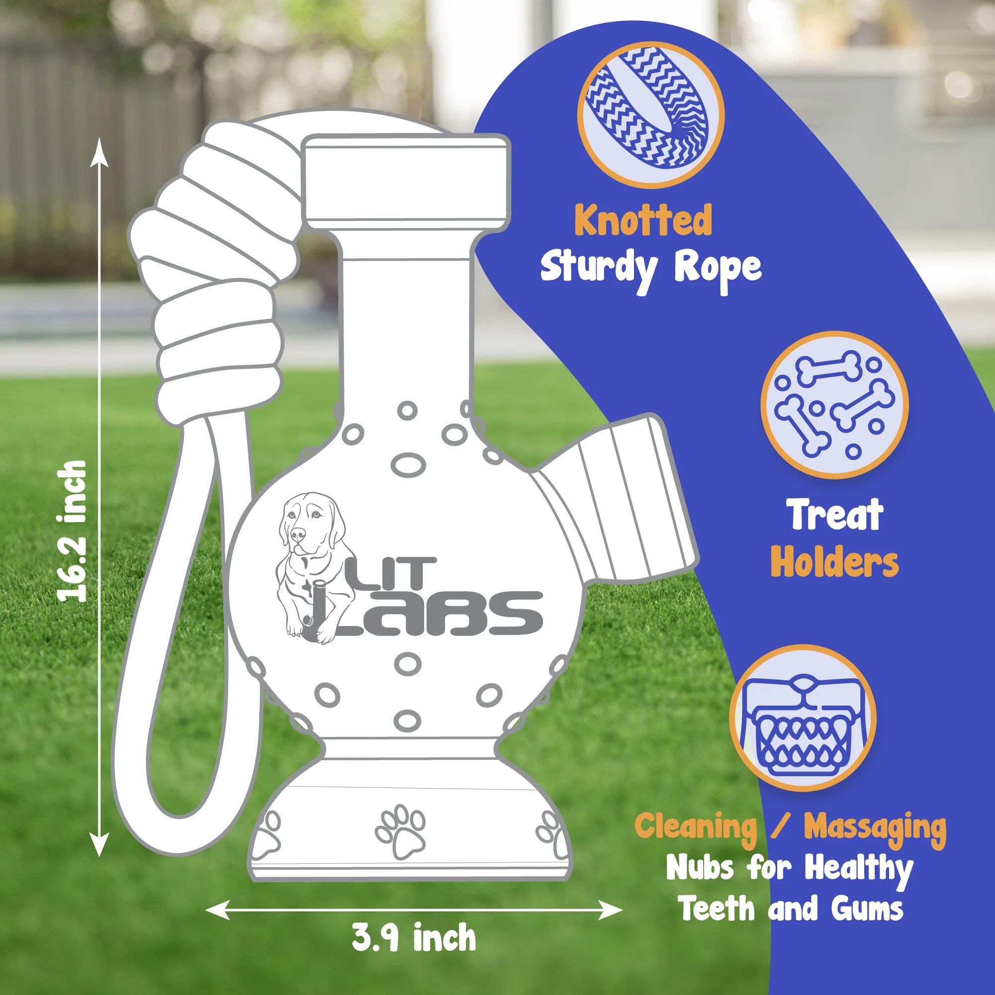 LitLabs Pooch Puffer Dog Toy - Image 6