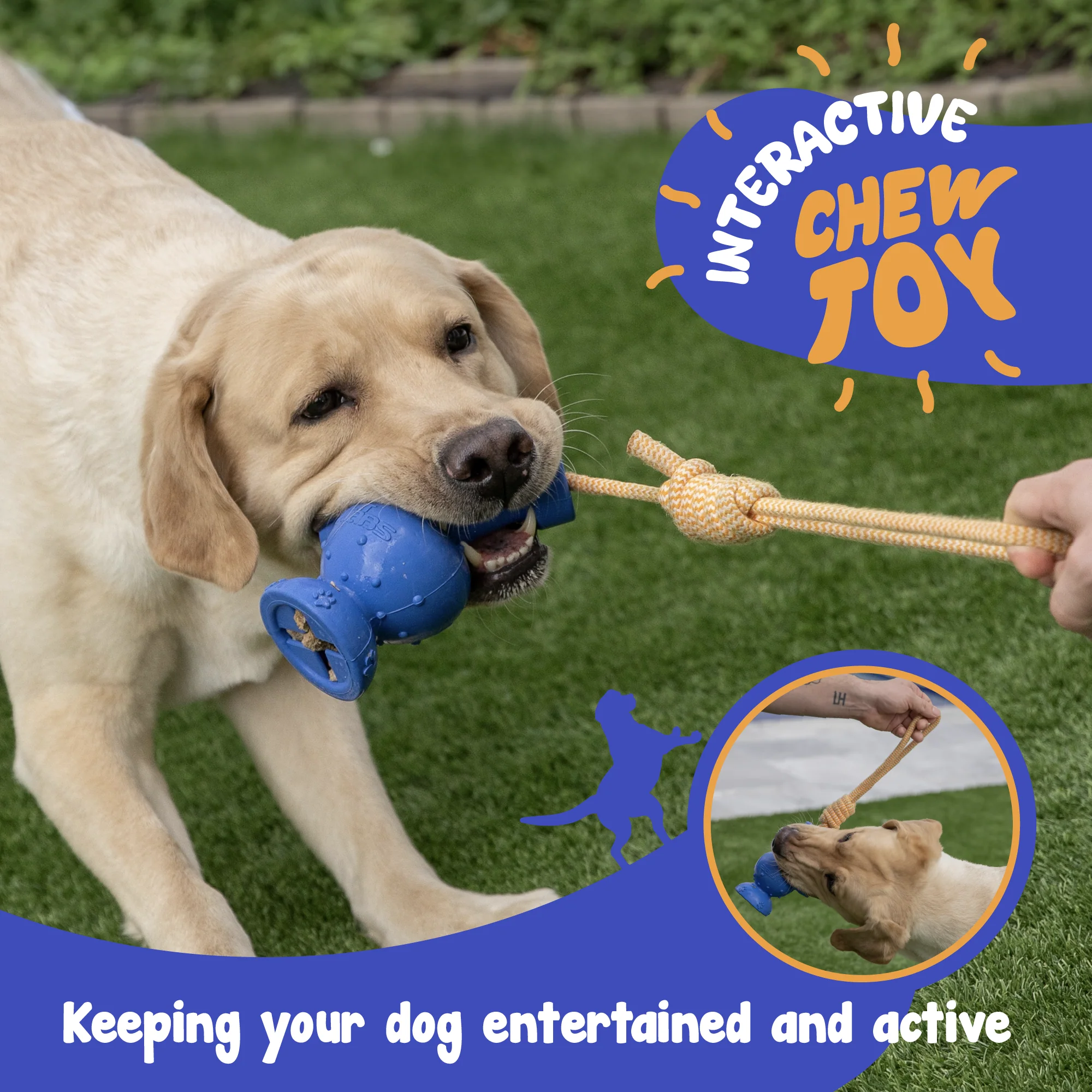 LitLabs Pooch Puffer Dog Toy - Image 8