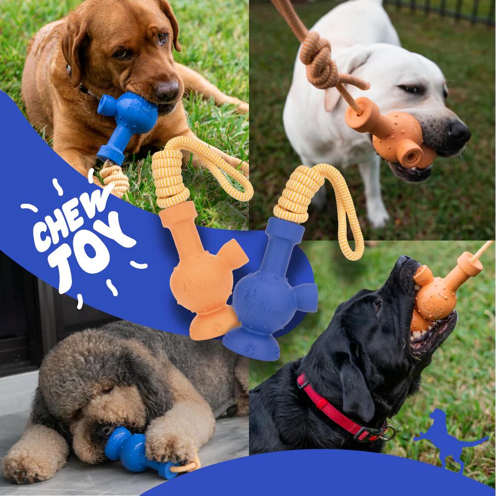 LitLabs Pooch Puffer Dog Toy - Image 9